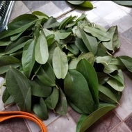 daun cincau jelly murni 1 kg