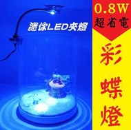 清倉特惠 ★ AZOO 彩蝶燈 LED夾燈 迷你夾燈 燈具 水族箱燈 魚缸燈 蝴蝶燈 藍燈 小燈 LED燈