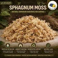 (Premium Grade) Dried Spagnum Moss suitable for Isopod / Springtail / Terrarium / Paludarium / Vivar
