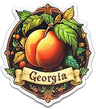 Georgia Flex Magnet, Punch Out Peach Souvenir, 3.25 x 3 Inches