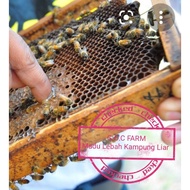 Madu Lebah Kampung Manis