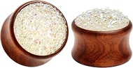 Lirzxin Ear Gauge Expander 00G-3/4 Inch, 2PCS Tunnels for Ears 8mm-20mm Solid Resin Wooden Earrings 