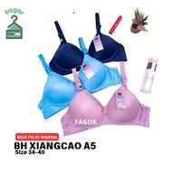 FAGOR - XIANGCAO FOAM BRA WITHOUT WIRE HOOK BRA 2 CUP SIZE a SIZE 34-40