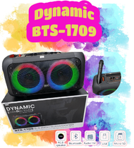 BTS 1709 BLUETOOTH Karaoke Speaker with free Microphone