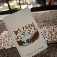 體驗活動 寵物塔羅牌線上文字占卜