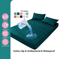 New Waterproof Mattress Protector Comfortable Quilted Sheets Premium Thicked Fitted Bedsheet Ultrasonic Topper Single/Super Single/Queen/King Size