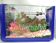 Small Aquarium Complete set (32cm x 17cm x 22cm)