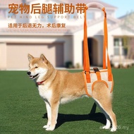Dog Walking New Product P8LV