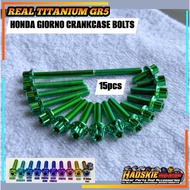 REAL TITANIUM GR5 HONDA GIORNO CRANKCASE BOLTS SET (15pcs) GR5 GR5 SCREW
