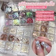 Aurora Abalone Natural Shell Set 12 Compartments Extra Thin Sheet Easy To Attach Nails Shells That G