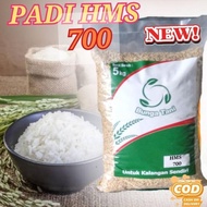 PROMO / TERMURAH BIBIT BENIH PADI HMS 700 5KG TERLARIS TERBAIK