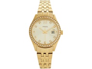 [Powermatic] Fossil ES5037 Scarlette Micro Three-Hand Date Gold-Tone Stainless Steel Women's Watch