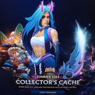 Dota 2 summer 2023 collector's cache