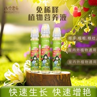 营养液植物通用型土培水培盆栽花卉绿萝富贵竹发财树液体养花Anutrient solution plant universal soil hydroponic potted flowersdfc001.