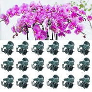 ✿ 20 100Pcs Plant Orchid Clips Plant Clips Orchid Clips for Support Vine Growing