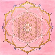豐收 獨創純手繪油畫布無框畫吉祥尺寸 正能量喜悅禪生命之花曼陀