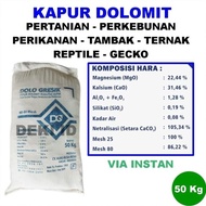 Kapur Dolomit 50 Kg Via Instant Kemasan Karung Karungan Murah