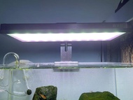 魚缸燈 85W 尼特利 水草燈 現貨