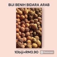 BIJI BENIH POKOK BIDARA ARAB (10BIJI)