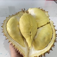 Duren Montong / Durian Monthong Palu Fresh Buah Utuh 3Kg-4.5Kg