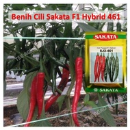 [REPACKING] BENIH CILI KULAI SAKATA HOT PEPPER F1 HYBRID 461