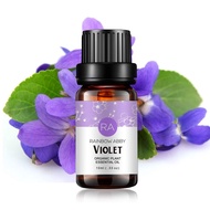 Violet Essential Oil 100% Pure Oganic Plant Natrual Flower Essential Oil for Diffuser Message Skin C