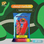 SP333 เมล็ดพันธุ์ข้าวโพดเลี้ยงสัตว์ ฝักเดี่ยว ทนแล้ง ผลผลิตสูง กระสอบ 10 kg