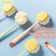 Ecoco Body Brush Back Shipped From Thailand