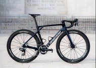 🇫🇷法國拉皮爾頂級車架 Lapierre Xelius DRS roadbike frame