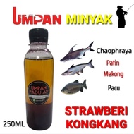 OIL BAIT - STRAWBERI KONGKANG Catfish Bait 250ml (AP32)