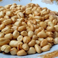 1kg kacang bawang goreng / kacang bawang goreng super gurih / kacang bawang goreng kualitas super