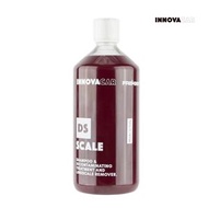 INNOVACAR - DS SCALE 除鑛洗車液 | 洗車水