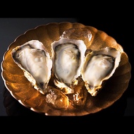 Hyogo Frozen L Size Oyster (Sashimi Grade) 6 Pcs - [FoodSMart]