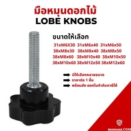 มือหมุนดอกไม้ตัวผู้ M6-M12 [STAR GRIP KNOB BOIT] พร้อมส่ง ราคาถูก