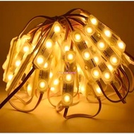 PAKET 100 PCS LAMPU LED MODUL SAMSUNG 3 MATA 6618 SASO 5630 100PCS 12V NEON BOX STRIP 3M