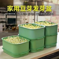 Home and Commercial Use Direct Sprouting Tray, Sprouting, Bean Sprout Machine, Bean Sprout Sprouting