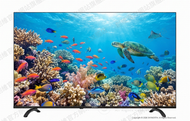 43Q66K 43吋 4K QLED 量子點 Google TV