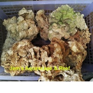 DR Coral Stone (Dead Rock)