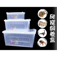Multifunctional/Breeding Box/Reptile Box/Spider/Gecko/Snake/Insect Box/Cave/Horned Frog/Unicorn/Horn