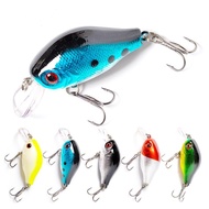 Gewang Casting Siakap Killer, Umpan Ikan Tiruan Palsu, Floating Fishing Lure, Gewang Toman dan Sebar