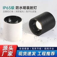 IP65 Waterproof Downlight Bathroom Balcony Shop Door Head Canopy Waterproof Surface-mounted Spotligh