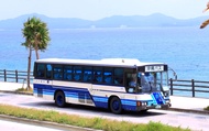 Thẻ xe buýt Okinawa dành cho khách du lịch