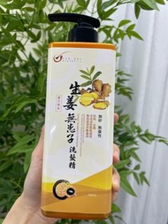 皂皂果生姜無患子洗髮精 Ginger Soapberry Shampoo 500mL