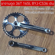 Suction Plate Legs 36T 165L BYJ-CS36 Money