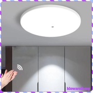 [KlowareafMY] Motion Ceiling Light Lighting Fixture Creative Decor Indoor Light for Porch Entryway Home