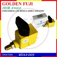 W043-009 183B GOLDEN FUJI INDUSTRIAL LPG GAS REGULATOR CAPETERY - ANGLE