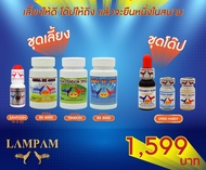 ชุดเลี้ยง+ชุดออกสนาม(สปีดฮาร์ดี้+ซานโตลีนเล็ก+rx3000+rx4000+tendon) #ตัวแทนจำหน่ายลำปำฟาร์ม #รับสินค