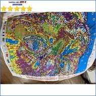 Cross-stitch painting with embroidered cat face DLH A377 - not yet attached