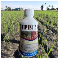 1L FIPEST 5SC HALEX Fipronil 5% (Same As Rainnil 5SC, PLASMO 50, Regent, Chalcid) Racun Serangga Ana