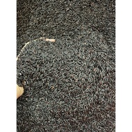 (Wholesale - Express) 10 KG Soft Black Brown Rice - rice in 10kg bag